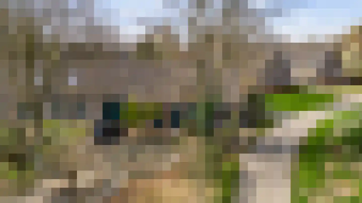 Boshoverweg 5 Weert thumbnail 40
