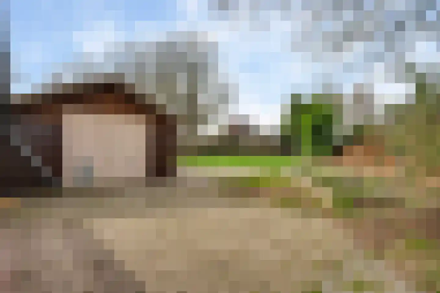 Boshoverweg 5 Weert thumbnail 5