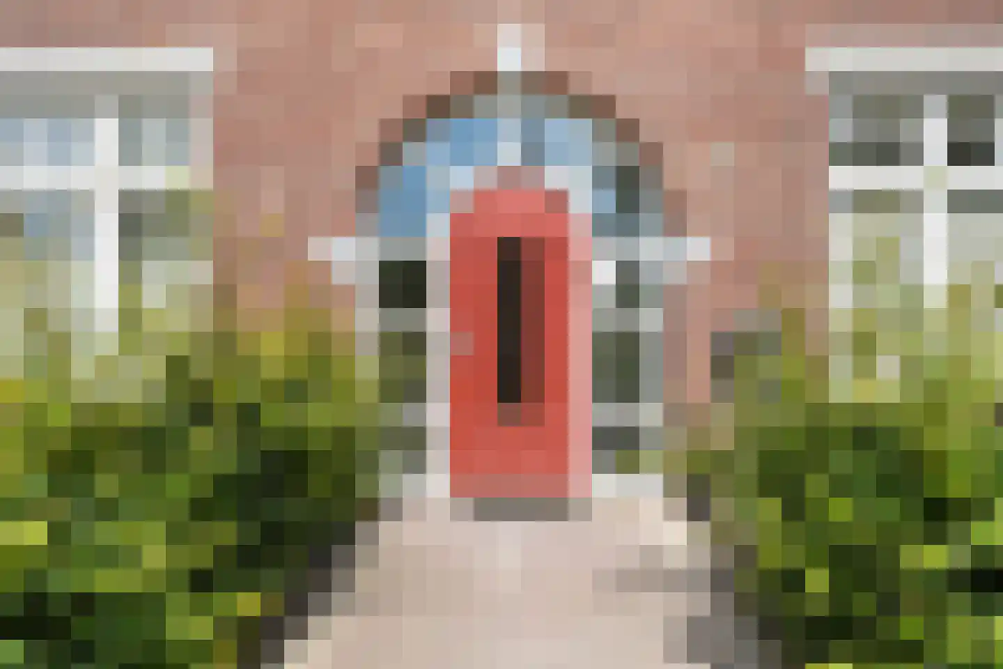 Boshoverweg 51 Weert thumbnail 16