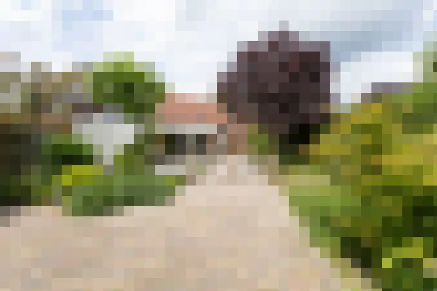 Boshoverweg 78 Weert thumbnail 42
