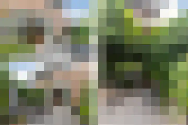 Boshuijsenlaan 17 Den Haag thumbnail 11