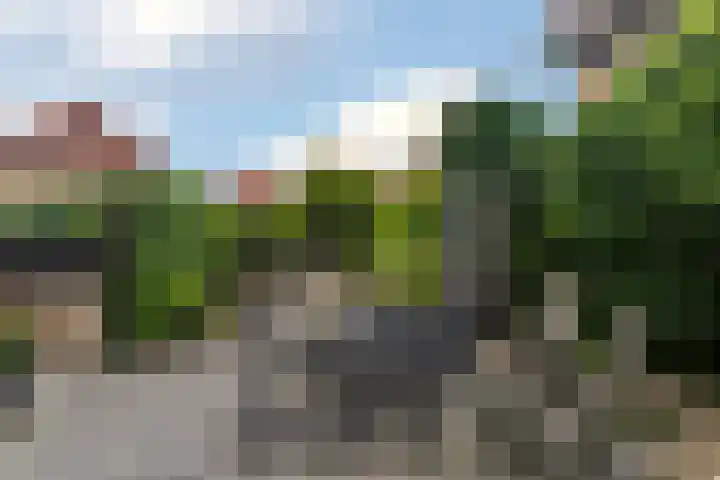 Boshuijsenlaan 17 Den Haag thumbnail 12