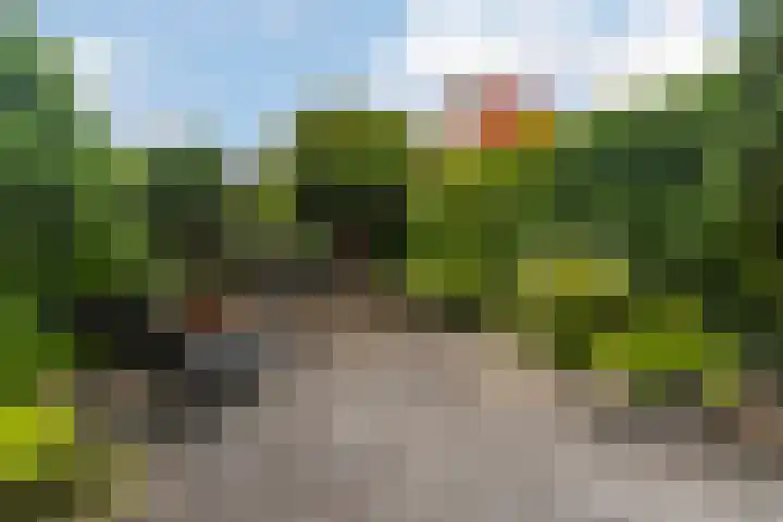 Boshuijsenlaan 17 Den Haag thumbnail 13
