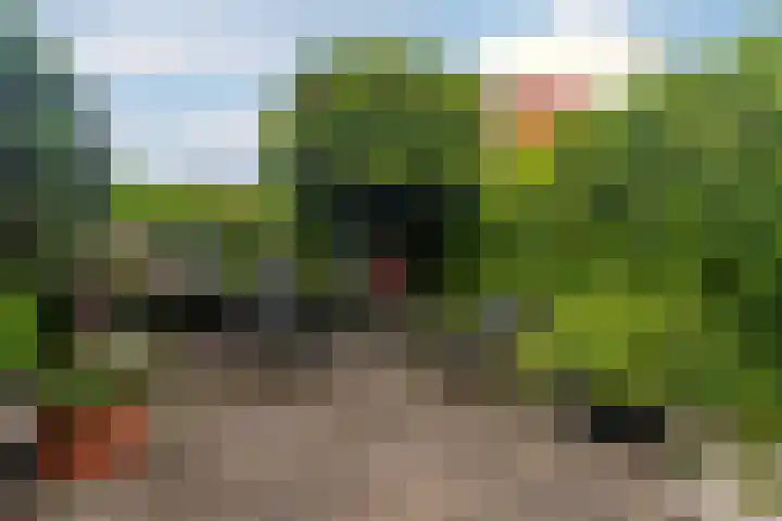 Boshuijsenlaan 17 Den Haag thumbnail 14