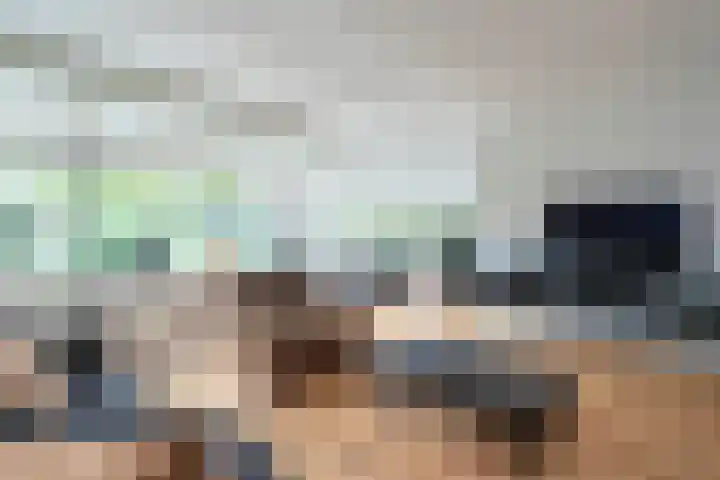 Boshuijsenlaan 17 Den Haag thumbnail 19