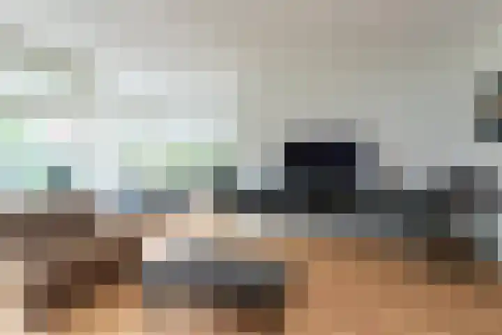 Boshuijsenlaan 17 Den Haag thumbnail 20