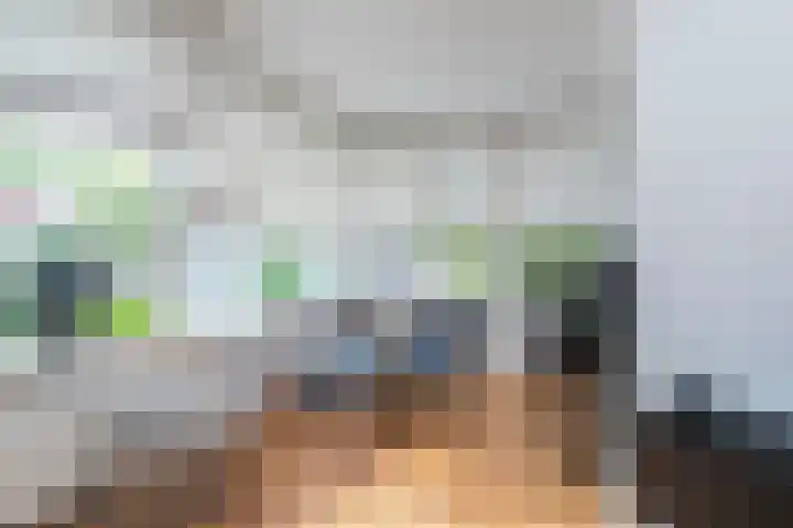 Boshuijsenlaan 17 Den Haag thumbnail 21