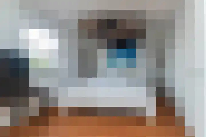 Boshuijsenlaan 17 Den Haag thumbnail 22