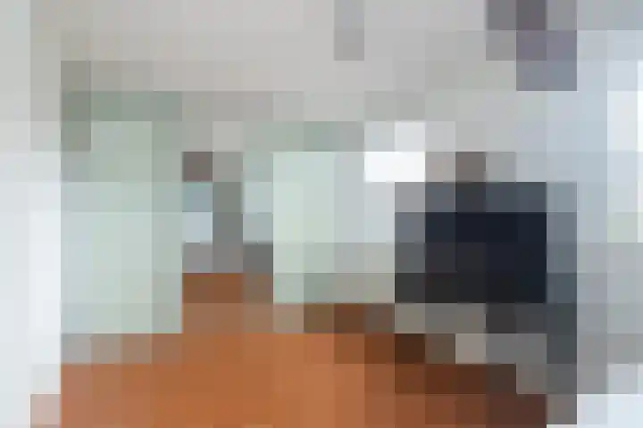 Boshuijsenlaan 17 Den Haag thumbnail 23