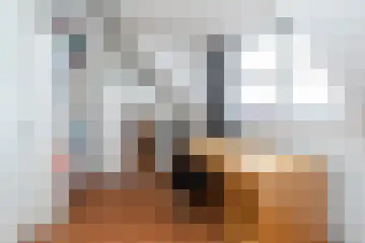Boshuijsenlaan 17 Den Haag thumbnail 32