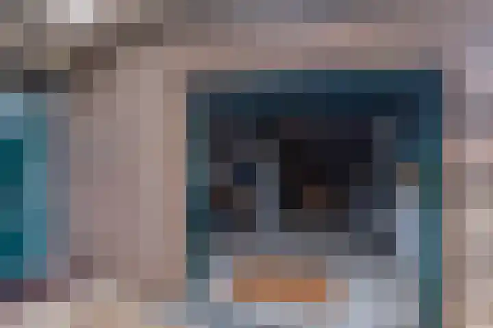 Boshuijsenlaan 17 Den Haag thumbnail 35