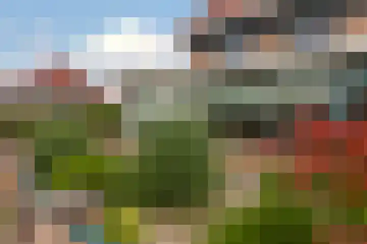 Boshuijsenlaan 17 Den Haag thumbnail 37