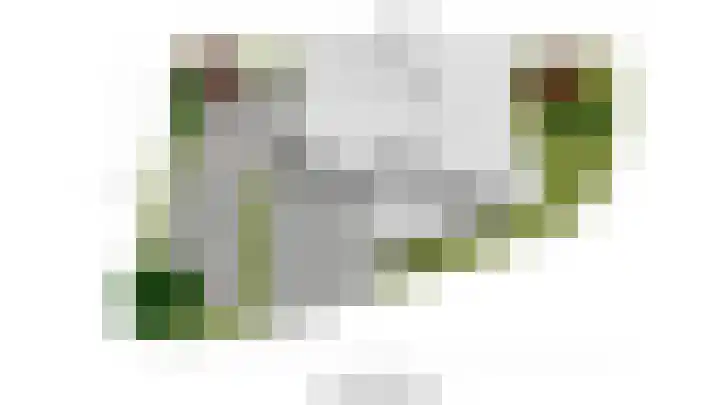 Boshuijsenlaan 17 Den Haag thumbnail 42