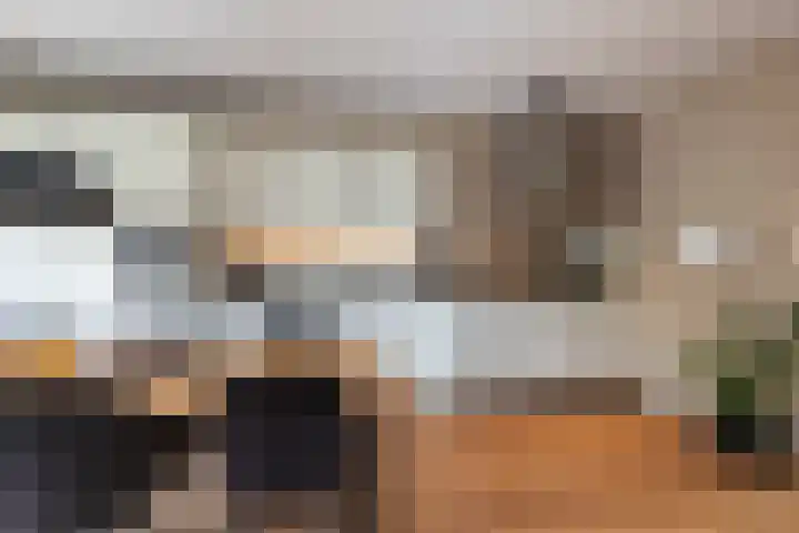 Boshuijsenlaan 17 Den Haag thumbnail 7