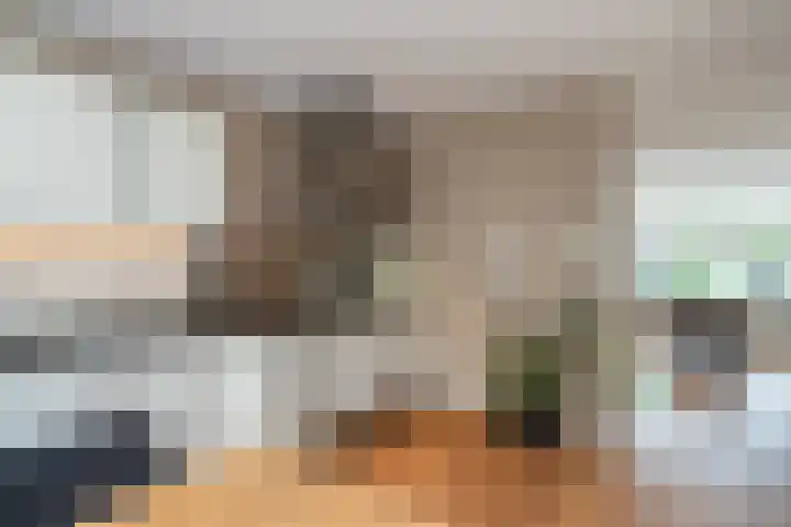 Boshuijsenlaan 17 Den Haag thumbnail 8