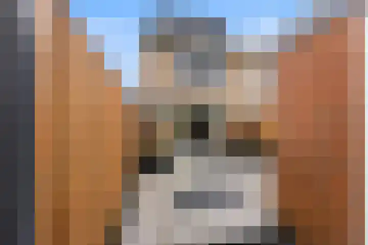 Boshuizen 41 in Zwijndrecht