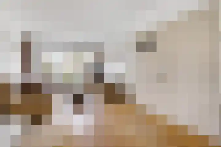 Boshuizerlaan 18 Leiden thumbnail 10