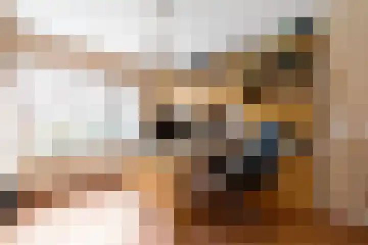 Boshuizerlaan 18 Leiden thumbnail 35