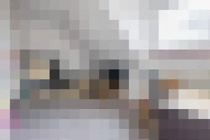 Boshuizerlaan 18 Leiden thumbnail 41