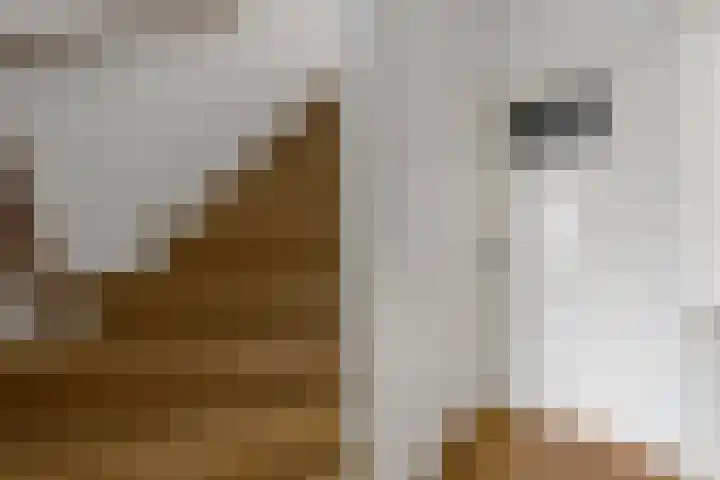 Boshuizerlaan 18 Leiden thumbnail 8