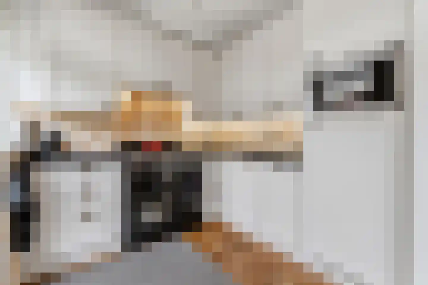 Boshuizerlaan 2 Leiden thumbnail 15