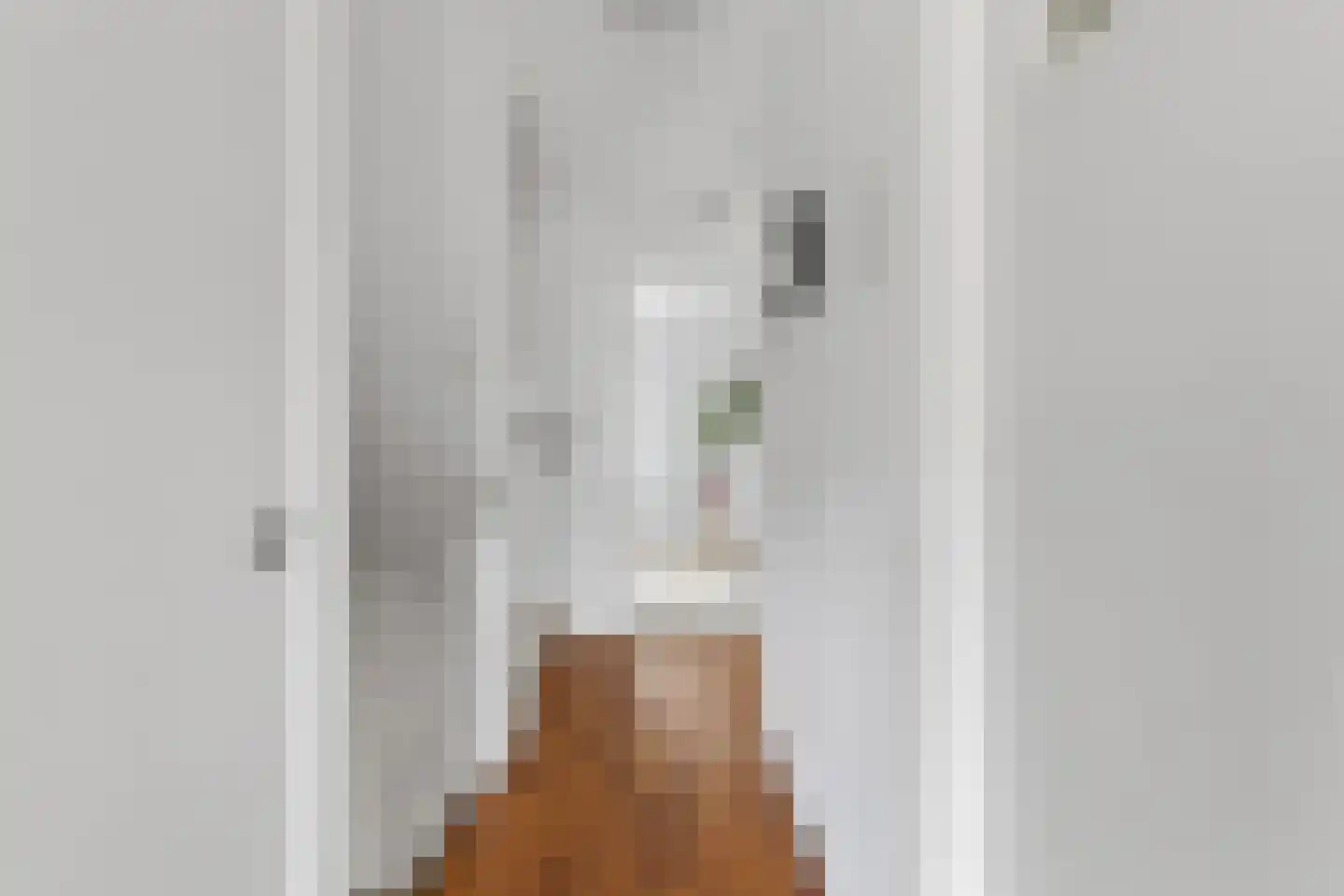 Boshuizerlaan 2 Leiden thumbnail 34