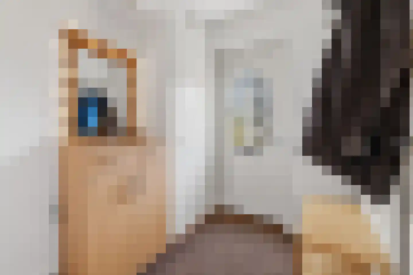 Boshuizerlaan 2 Leiden thumbnail 46