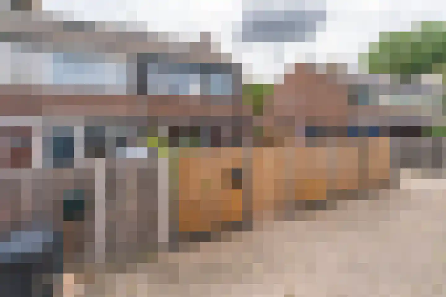 Boshuysenstraat 12 Katwijk thumbnail 35