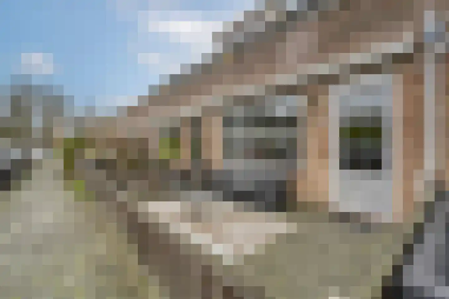Boshuysenstraat 26 Katwijk thumbnail 34