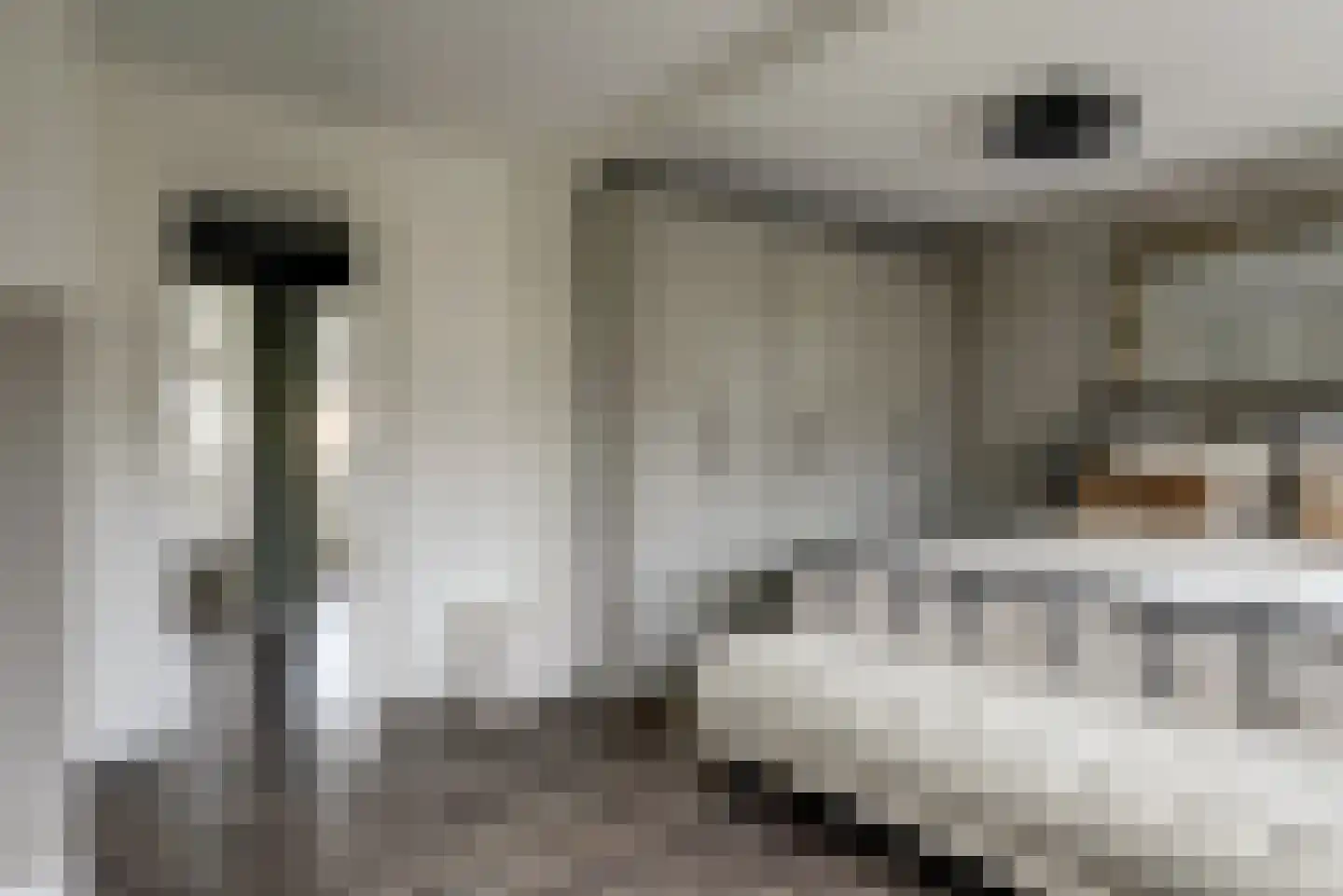 Boshuysenstraat 36 Katwijk thumbnail 28