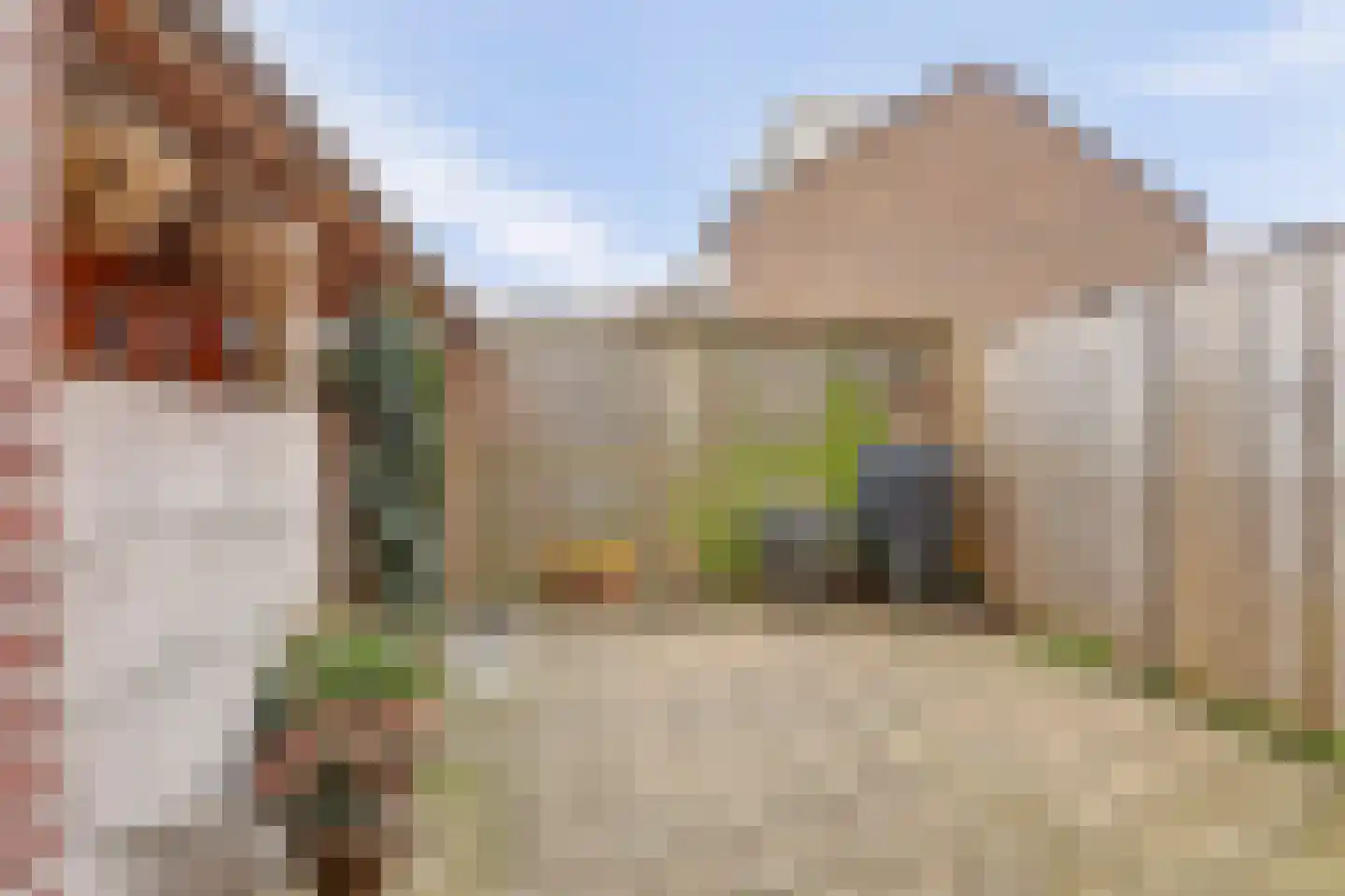 Boshuysenstraat 36 Katwijk thumbnail 51