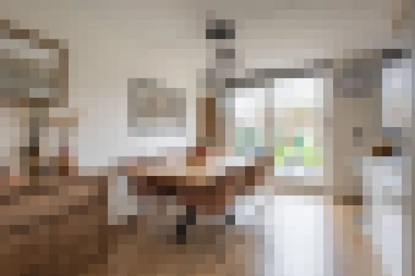 Bosjesweg 103 Sluiskil thumbnail 11