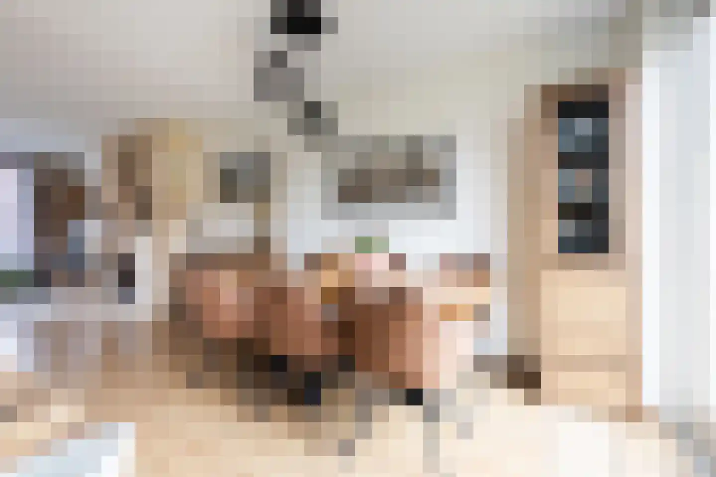 Bosjesweg 103 Sluiskil thumbnail 12