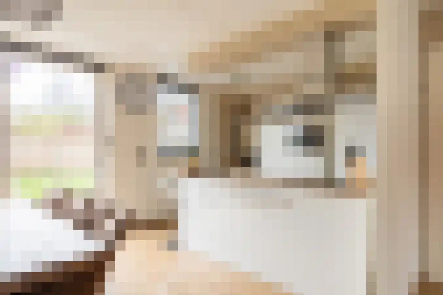 Bosjesweg 103 Sluiskil thumbnail 13
