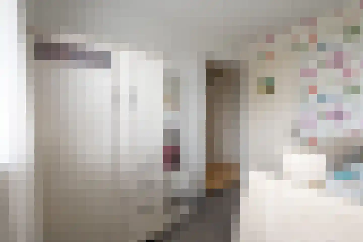 Bosjesweg 103 Sluiskil thumbnail 21