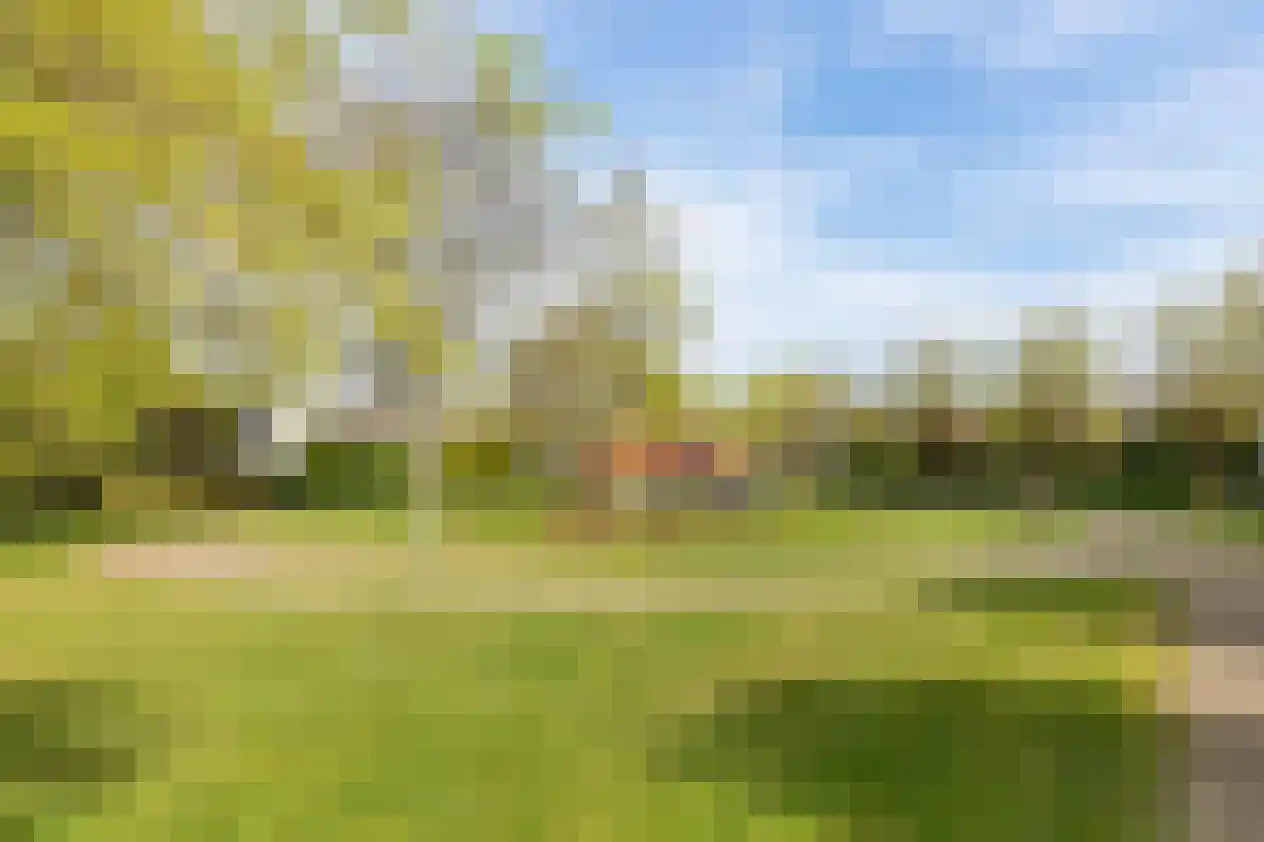 Bosjesweg 103 Sluiskil thumbnail 34