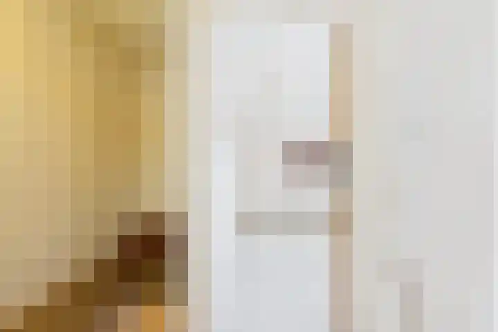 Bosjesweg 12 Sluiskil thumbnail 11