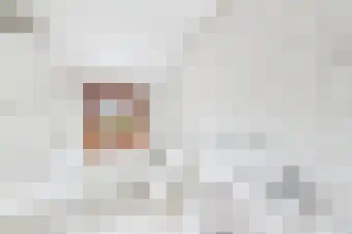 Bosjesweg 12 Sluiskil thumbnail 13