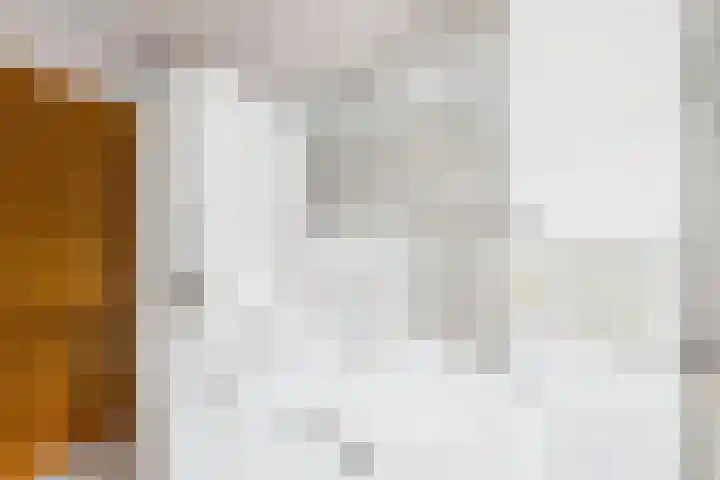 Bosjesweg 12 Sluiskil thumbnail 15
