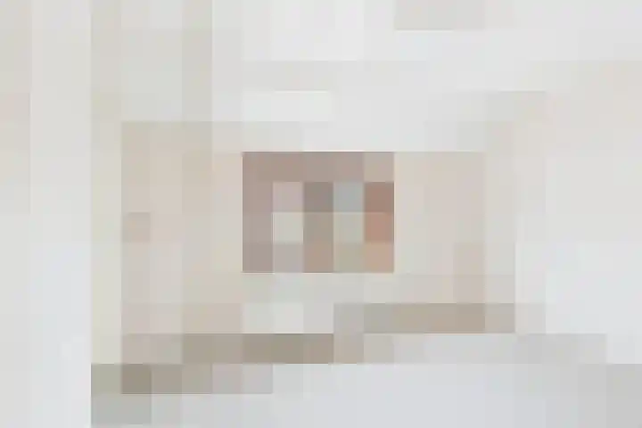Bosjesweg 12 Sluiskil thumbnail 16