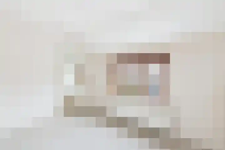 Bosjesweg 12 Sluiskil thumbnail 18