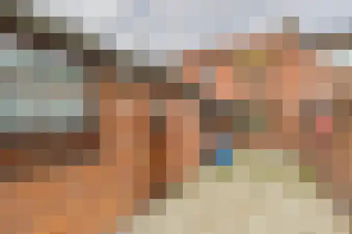 Bosjesweg 12 Sluiskil thumbnail 23
