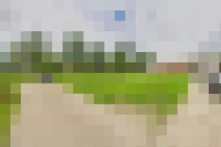 Bosjesweg 12 Sluiskil thumbnail 27