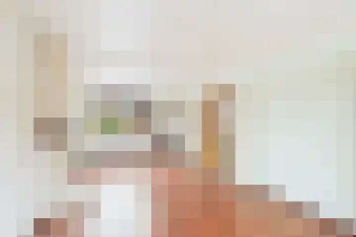 Bosjesweg 12 Sluiskil thumbnail 4