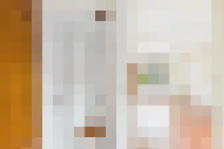 Bosjesweg 12 Sluiskil thumbnail 7