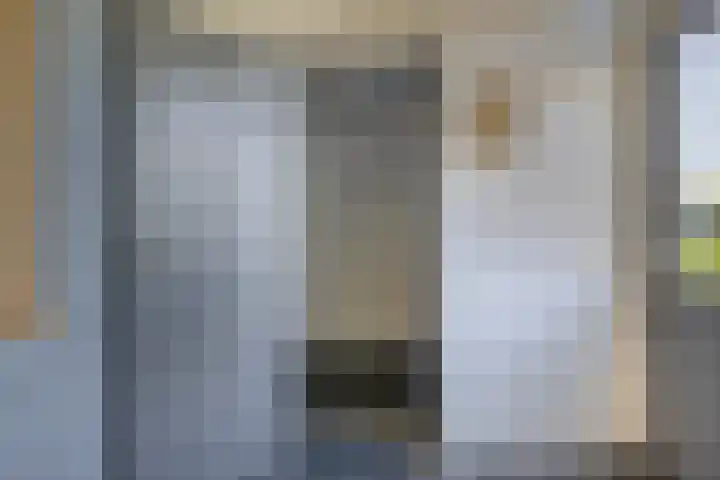 Bosjesweg 15 Sluiskil thumbnail 12