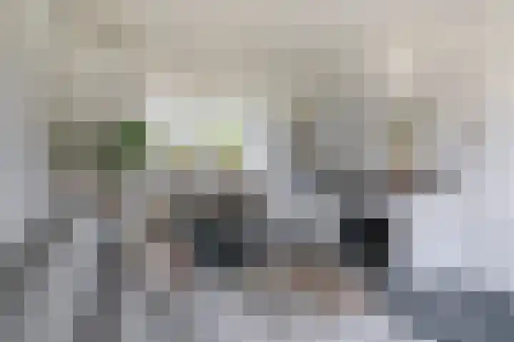 Bosjesweg 15 Sluiskil thumbnail 17