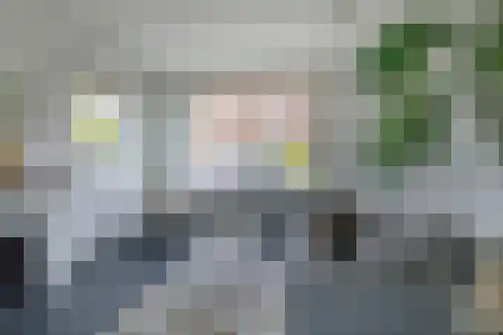 Bosjesweg 15 Sluiskil thumbnail 18