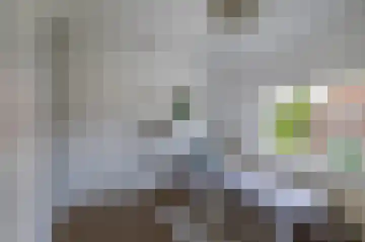 Bosjesweg 15 Sluiskil thumbnail 26