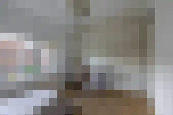 Bosjesweg 15 Sluiskil thumbnail 27